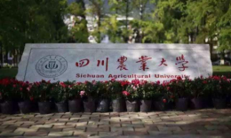 四川农业大学管理学院2024年MPA招生复试录取工作通知